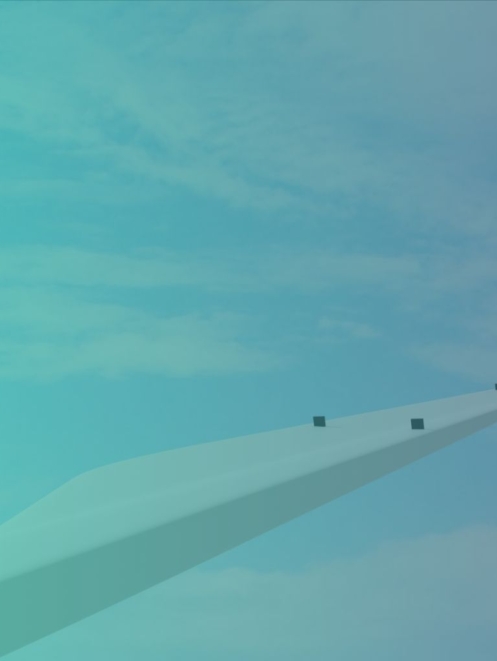 Komplicerede målinger til forståelsen af vingedynamik