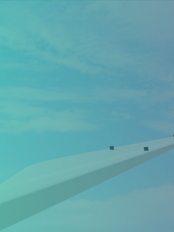 Komplicerede målinger til forståelsen af vingedynamik